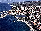 Brač